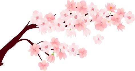 cherry cartoon character|cartoon cherry blossom branch.